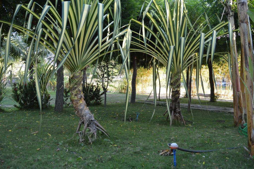 Pousada Yuste Beach Farm Paracuru Exterior foto